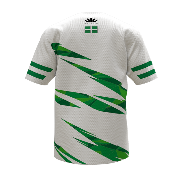 Devon RFU Training T-Shirt, Adults